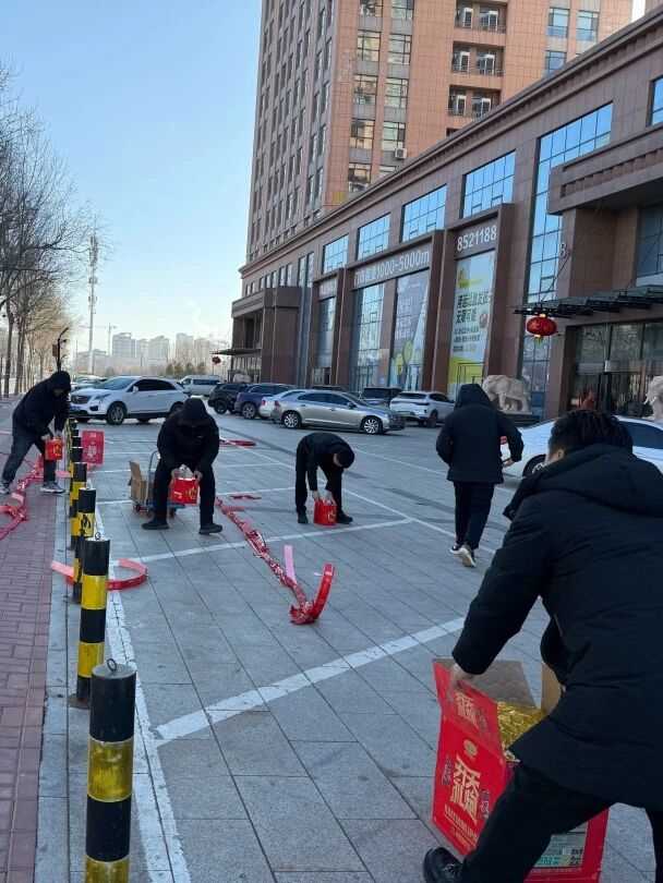 1773019006287810.jpg 12.jpg